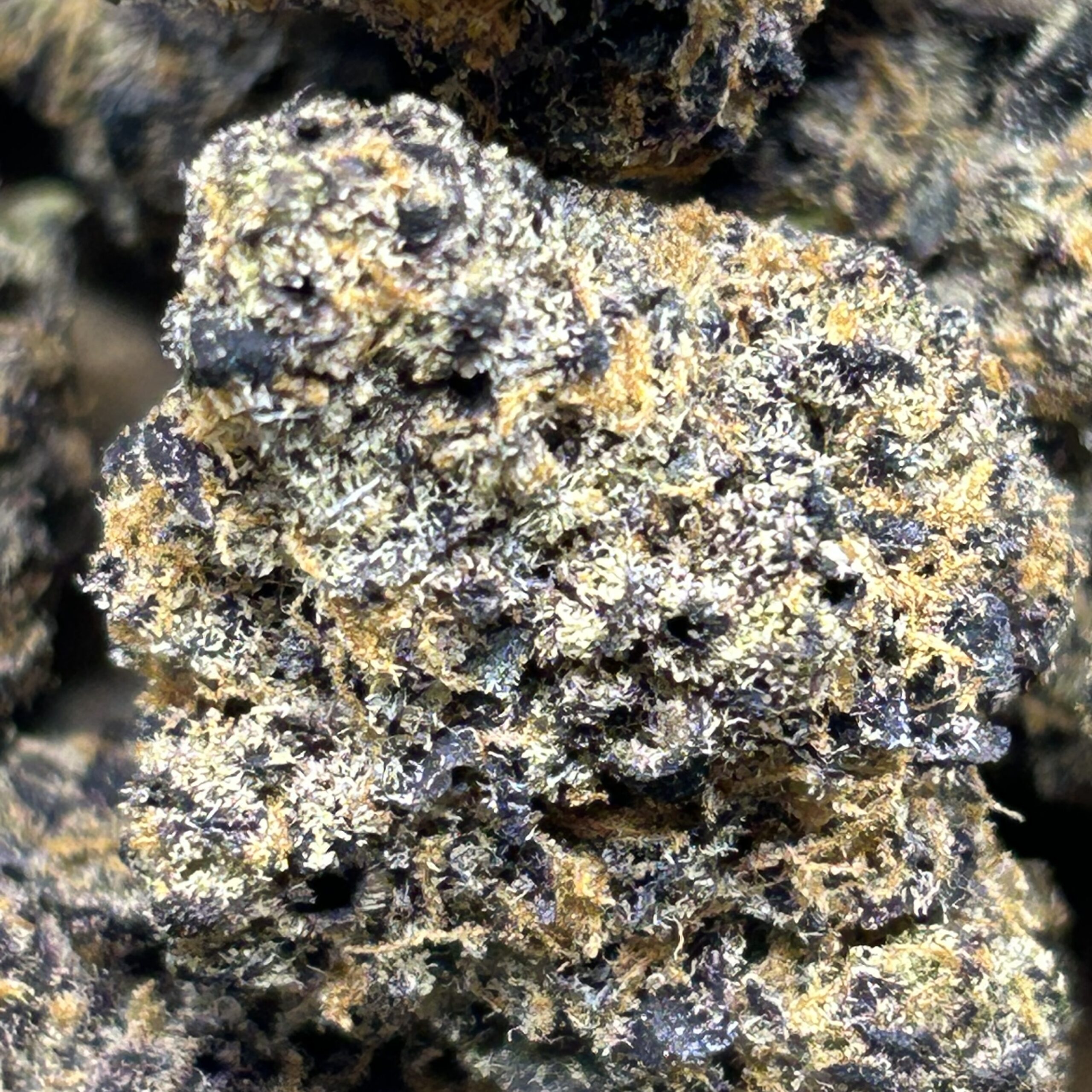 Mega Purp – AAAA - Image 2