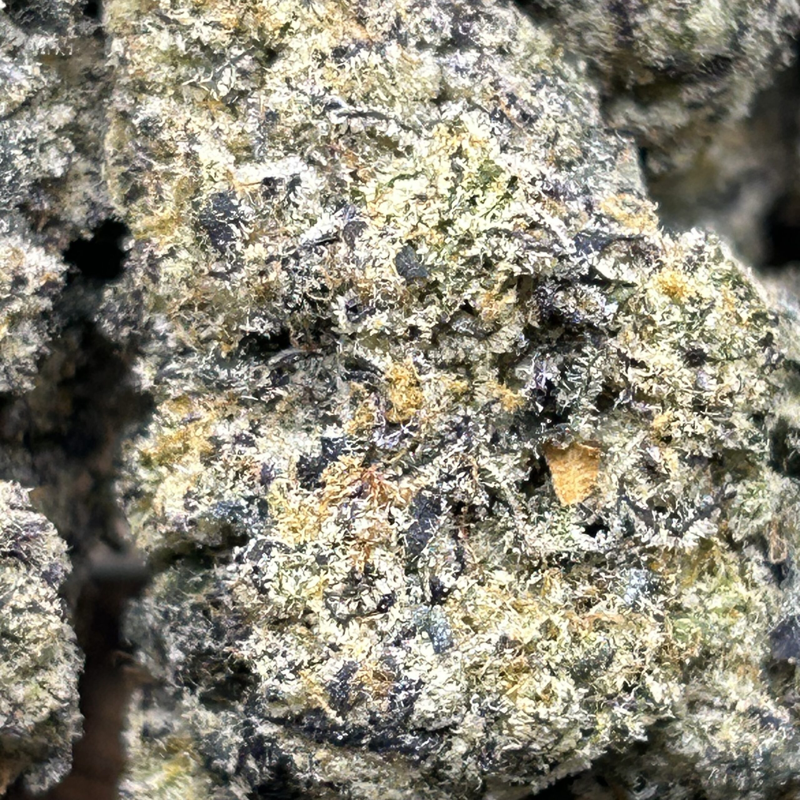 Toad Venom – AAA - Image 2