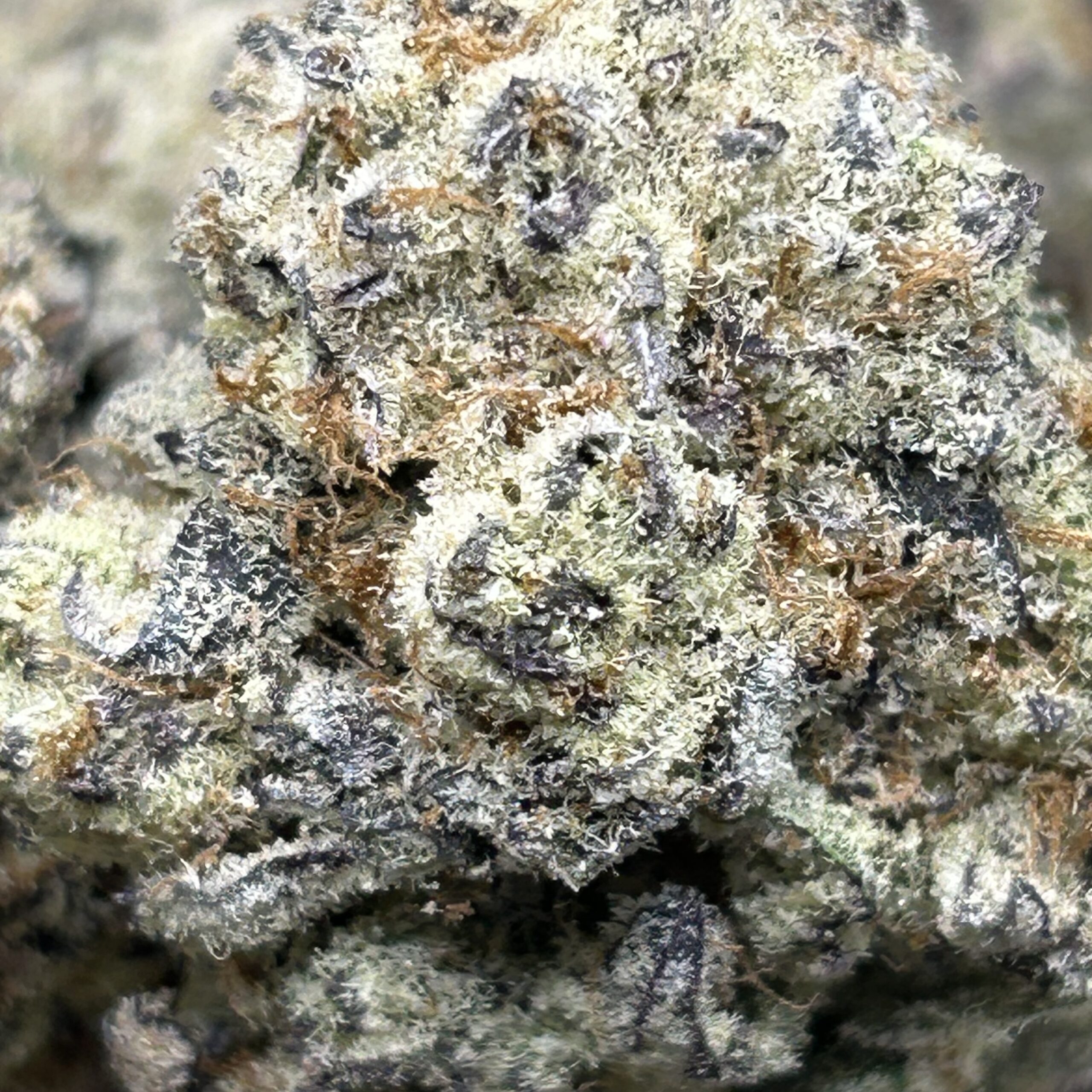 ICE ICING - AAAA - Image 2