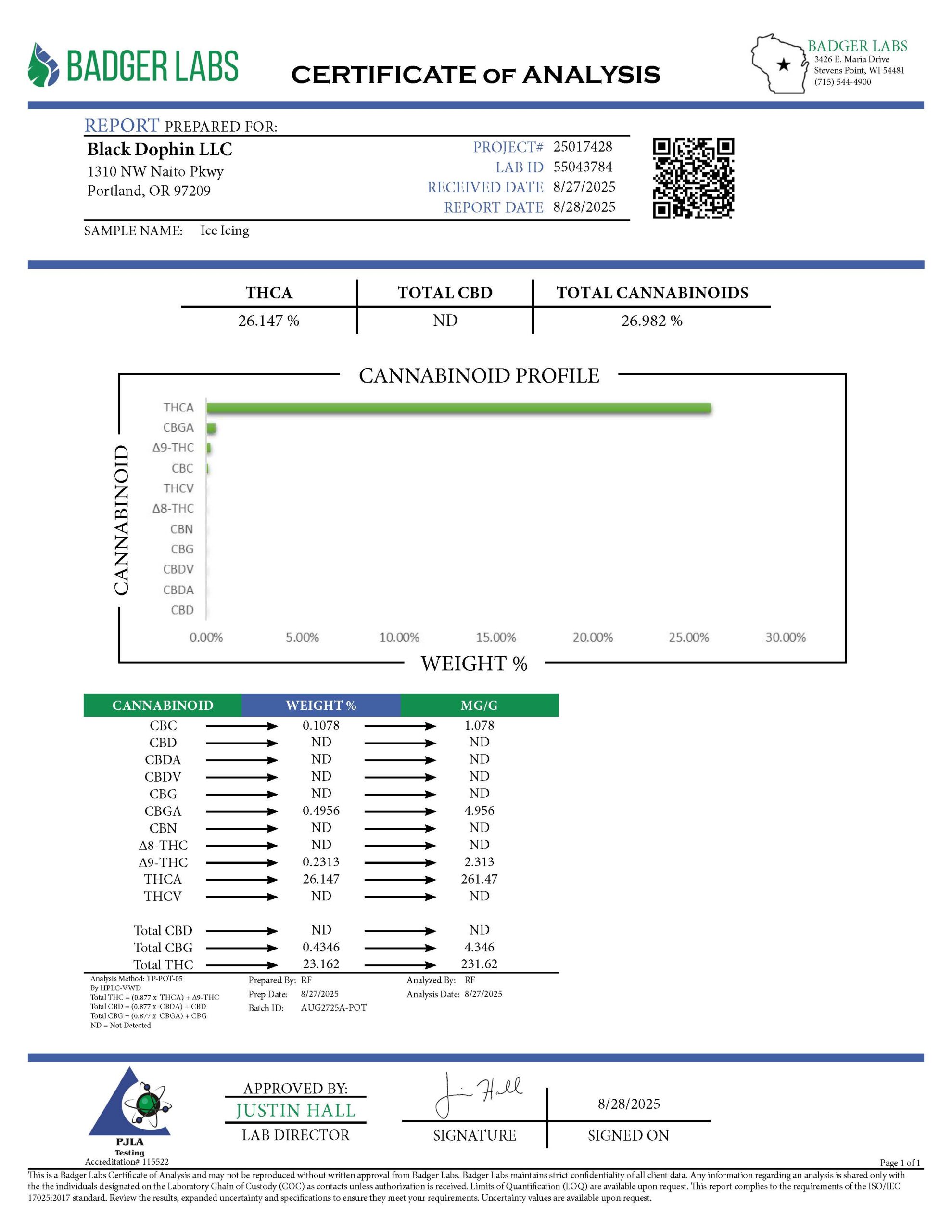 ICE ICING - AAAA - Image 3